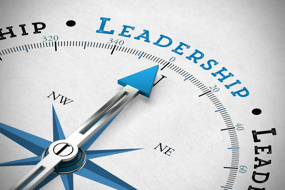 Leadership: Rishabh Engineering is one of the best leader organization in industry