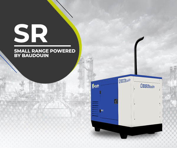 rishabh engineering small range genset